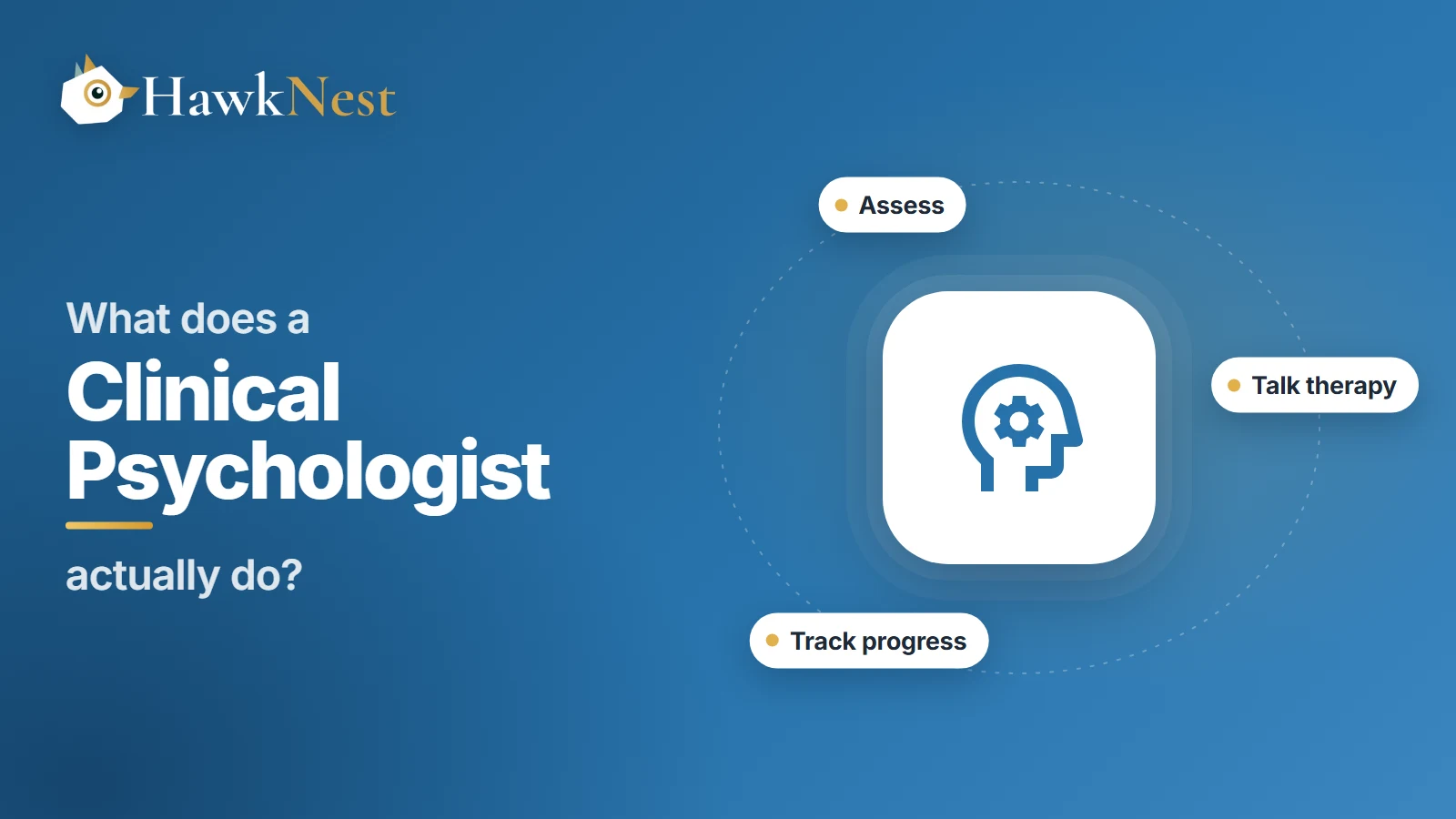 Series cover: What does a clinical psychologist actually do? A head icon with the tasks assess, talk therapy and track progress