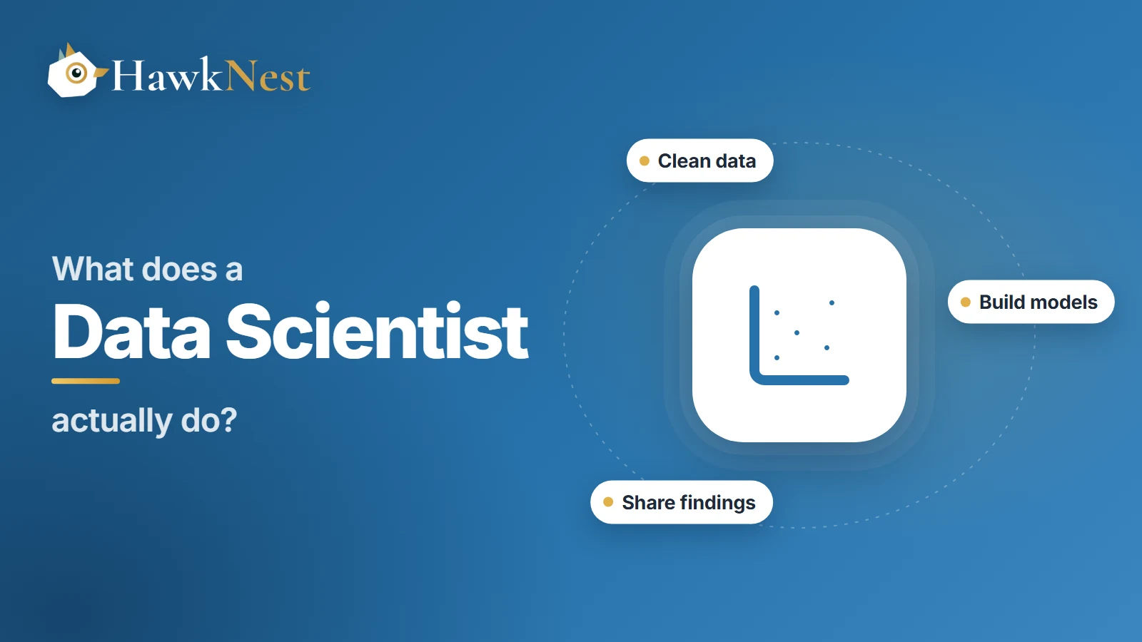 Series cover: What does a data scientist actually do? A scatter chart icon with the tasks clean data, build models and share findings